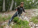 Ein jugendlicher Ranger pflegt den Wald Ein jugendlicher Ranger pflegt den Wald