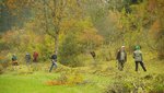 Zahlreiche Aktive stellen eine zugewachsene Fläche frei Zahlreiche Aktive stellen eine zugewachsene Fläche frei